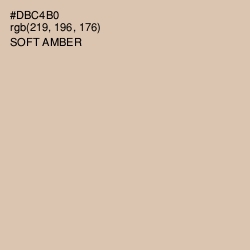 #DBC4B0 - Soft Amber Color Image